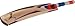 Puma English Willow Cricket Bat Pulse 3000 Full Size Light Weight Parallel Grains