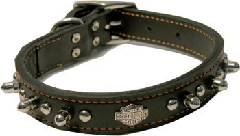 harley davidson leather dog collar
