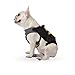 DC Comics for Pets Batman Harness for Dogs in Size Large | Superhero Dog Harness | Harness for Large Dog Breeds, Fun and Cute Halloween Dog Costume Great for Large Dogs