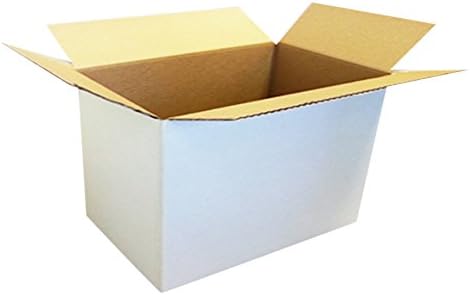 Cardboard Box Tough Two Wave microtriplo 24 x 12 x 35 cm + Conf. Polystyrene Bottle Pack of 5