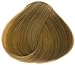 Goldwell Topchic Hair Color Coloration (Tube) 8NA Light Nat. Ash Blonde