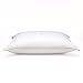 DOWNLITE Soft White Goose Down Hypoallergenic Pillow – 300 Thread Count Cotton Sateen – Perfect for Stomach Sleepers – Standard Size, 20 x 26