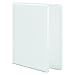 Wilson Jones 2 Inch 3 Ring Binder, Basic D-Ring View Binder, White (W386-44W)