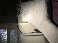 Review Image by SalesTaxAccountant SalesTaxAccountant