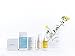 Lavido - Natural Age Away Hydrating Cream | Clean, Non-Toxic Skincare (1.7 oz | 50 ml)