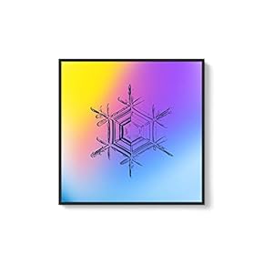 Framed Canvas Wall Art for Living Room, Bedroom Snowflake Theme Canvas Prints for Home Decoration Ready to Hang - 16x16 inches