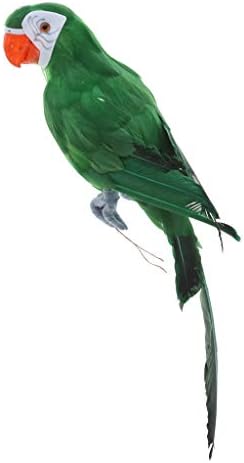 Homyl 45cm Artificial Parrot Bird Realistic Home Decor Budgie Taxidermy 3 Colors - Green