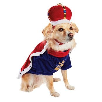 Petco Halloween King Dog Costume~LARGE~