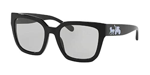 Coach hc8249 Clearance