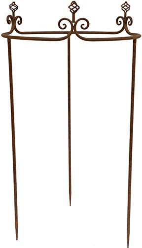 HFG Staudenhalter Staudenstütze Rankhilfe D 60 cm Pflanzenstütze Blumenstütze