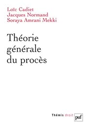 Théorie générale du procès