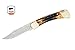 Buck Knives 110 Genuine Amber Stag Folding Hunter Knife Exclusive 110STSSH1