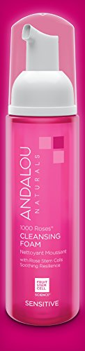 Andalou Naturals 1000 Roses Cleansing Foam, 5.5 Ounce