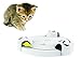 PetSafe Pounce Cat Toy, Interactive Automatic Toy for Cat or Kitten, Adjustable Electronic Battery Operated Toy
