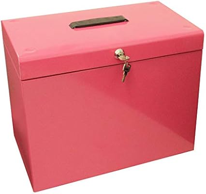 Cathedral - Caja archivadora de metal, A4, color rosa: Amazon.es: Oficina y papelería