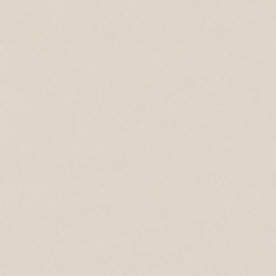 Amazon ポリエステル化粧合板 カラーフィットポリ Rk 6017 ４ｘ８ 表面エンボス 梨地 仕上 化粧合板