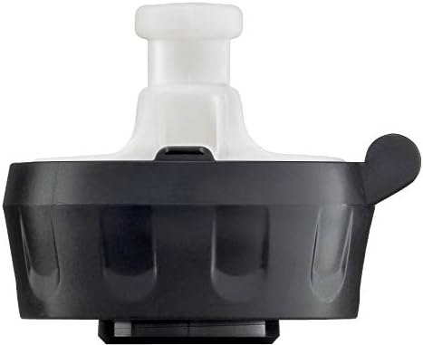 sigg water bottle kids