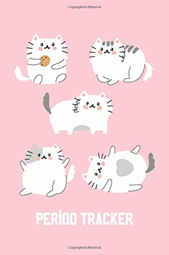 cat menstrual cycle