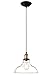 Newhouse Lighting GHPENKIT Rustic Vintage Edison Style 1 Pendant Glass Hanging Light Kit, Clear