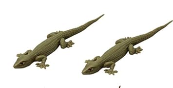 lizard toy online