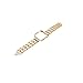Alonea Stainless Steel Bracelet Smart Watch Band Strap + Case Cover For Fitbit Blaze (Gold)