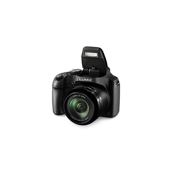 Panasonic LUMIX DC-FZ83, Schwarz – Bild 3