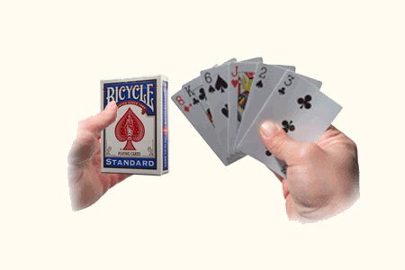 Still 6 Cards !!! (Bicycle)