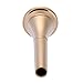 Andoer French Horn Mouthpiece with Durable Stylish Copper Alloy Golden (Gold)