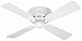Hunter 23866 42-Inch White Lowprofile II Fan