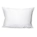 Mulberry Park 100% Silk Pillowcase - 19 Momme, Grade 6A Mulberry Silk - Deep Envelope Closure - White/Standard (20'' x 26'')
