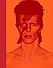 David Bowie Is... (Museum of Contemporary Art, Chicago: Exhibition Catalogues) by
