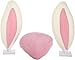 Mystic Industries Reindeer, Pumpkin and Easter Bunny Three Seasons Vehicle Costumes, (Pack of 3)