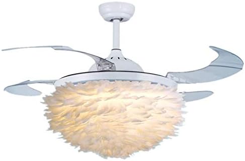 Wsxxn Nordic Invisible Pendant Ceiling Fan Light Warm Romantic