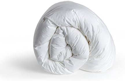 Dreamsong D40B200411 Country Down Twin Comforter