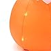 SUPERJARE Hallween Punpkin and Dog - Large