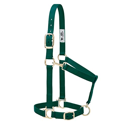 Weaver Equine Nylon Horse Halter, Average Horse, Padded & Adjustable, 1 in