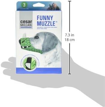 cesar millan dog muzzle