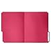 File Folder, 1/3 Cut Tab, Letter Size, Red, Great for Organizing and Easy File Storage, 100 Per Box