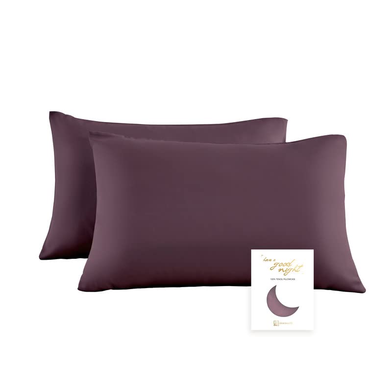 Townssilk Double-Sided 100% Pure Tencel Cushion Cover, High-End Pillow Cover, Suitable for Hair and Skin Health, 2-Piece, with Hidden Zip, 60 x 60 cm, Plum Purple