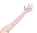 KingSeal 100 Count Poly Shoulder Length Disposable Gloves, 34 inch length, 1.6 mil thickness, for Breeding, Field Dressing, Foodservice - 1 Box of 100 Gloves
