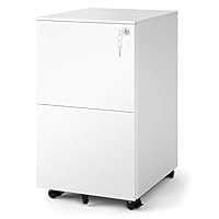 DEVAISE 2-Drawer Mobile File Cabinet with Lock, Commercial Vertical Cabinet in White