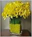 JellyBeadZ Brand - 8 Ounce Package - Almost 15,000 - Heat Sealed Bag- Water Pearls Gel Beads- Wedding & Event Centerpieces- Lemon Yellow