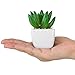 MyGift Decorative Indoor Fake Plants, Assorted Artificial Succulents in White Ceramic Planter Pots, Set of 4