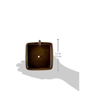 Wildlife World Ciotola per Lo Snack dei Ricci