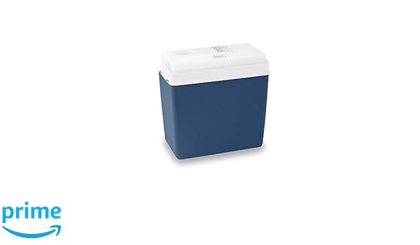 Amazon.es: Mobicool 9600024973 - Nevera portátil
