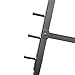 Valor Fitness BD-6 Squat and Bench Press Rack with Adjustable Safety Catch and Storage Pegs for Olympic Plates