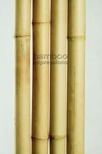 Amazon.com : Bamboo Poles 2 Inch X 8 Feet, Carton of 4 Poles : Amazon