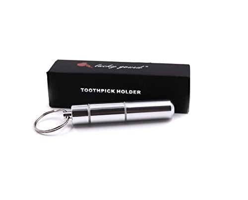 Lucky Gourd Portable Aluminum Alloy Toothpick Box Waterproof Silver Toothpick Holder Mini Pill Case Keychain (Small)