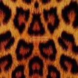SpectraCoat Hydrographics Film HD Leopard Film