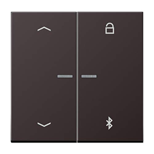 Universal Programmer Key with Bluetooth and Dark Arrows